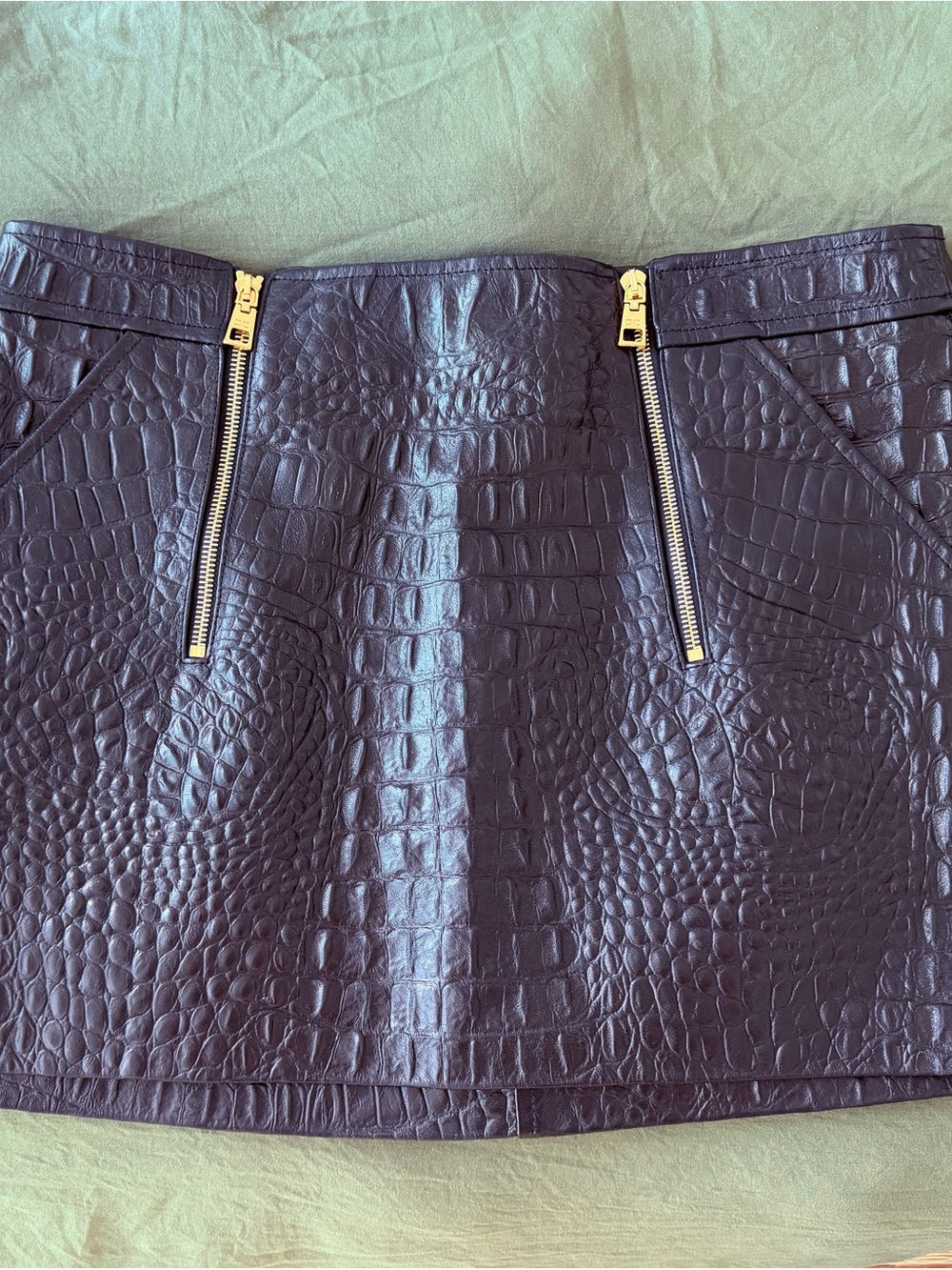 Elisabetta Franchi Crocodile-effect Mini Skirt with Zip